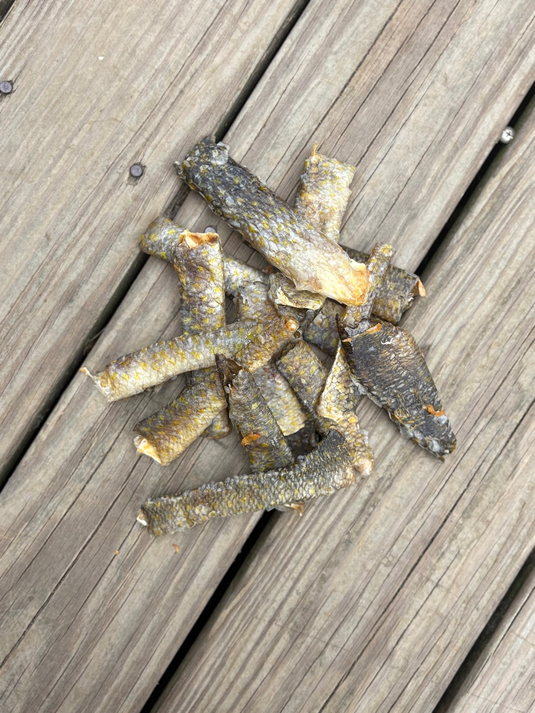 Tile Fish Skins  image 0